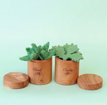 Load image into Gallery viewer, Juni Moon Heirloom Herb pots - kitchen play