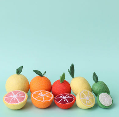 Zesty felt fruit bundle - 10 pce citrus pack