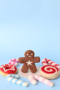 Mr Spicy - The gingerbread kid