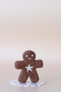 Mr Spicy - The gingerbread kid