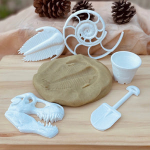 On Sale Dino Fossil Dig Bundle