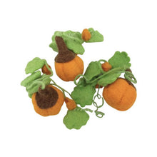 Load image into Gallery viewer, ON SALE Pumpkins on the vine 3 pack