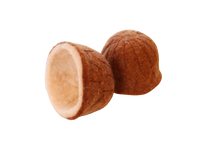 Load image into Gallery viewer, Papoose Coconut - set of 2