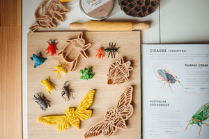 ON SALE Cicada & Shell Eco Cutter Set