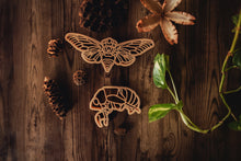 Load image into Gallery viewer, ON SALE Cicada &amp; Shell Eco Cutter Set