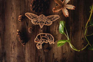 ON SALE Cicada & Shell Eco Cutter Set